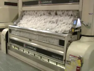 Read more about the article <strong>Cotton Ginned and Ginning Explained</strong>