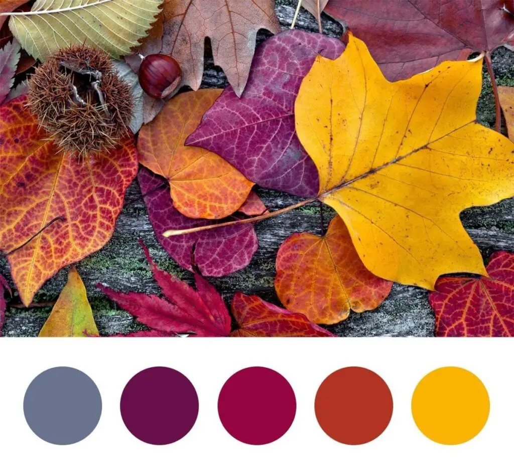 Colors for November (Color of the Month)