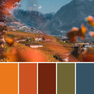 Read more about the article <strong>Autumn Color Palette</strong>